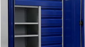 Шкаф инструментальный TC-1095 (ТС 1095-100215)