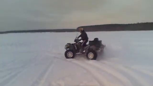 arctic cat смотреть онлайн