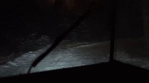 ночные, зимние покатушки в лесу на такси!