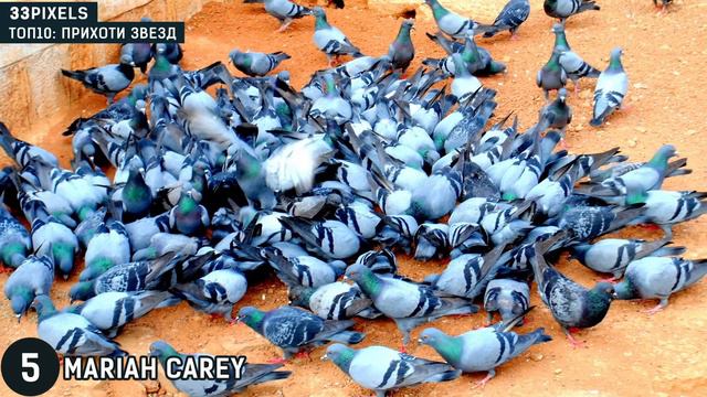 Необычные прихоти звезд Шоу-бизнеса - 33pixels смотреть онлайн