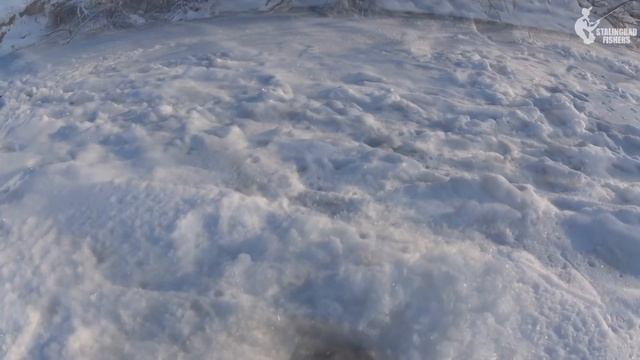 В этом КОРЯЖНИКЕ из лунок выпрыгивает рыба. Рыбалка с камерой в лютый мороз смотреть онлайн