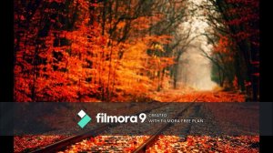 Каждый год она приходит неизменно Минус