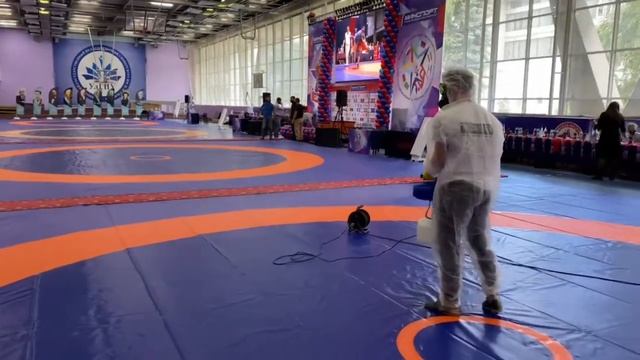 Подготовка к фестивалю самбо смотреть онлайн