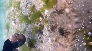 Как ловить камбалу руками?! Пятый день, питаюсь только тем, что добыл в море.