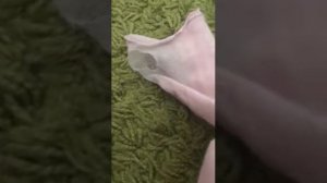 Как сделать из носка перчатку без пальцев лайфхак