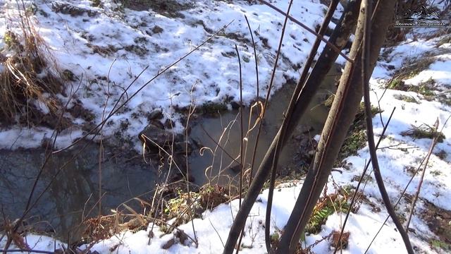 За золотом по снегу. Продолжение смотреть онлайн
