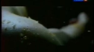 Рекламные блоки и анонсы (Россия 2, 31.12.2012)