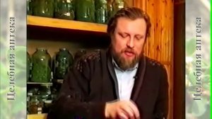 Подорожник большой