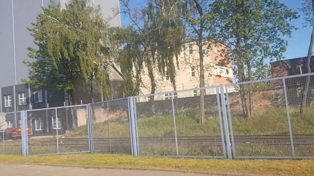 Неизвестный зверь обнаружен в Польше. Unknown beast discovered in Poland.