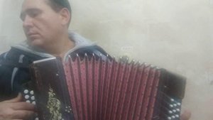 Гармонь Шуя 1950х годов после настройки