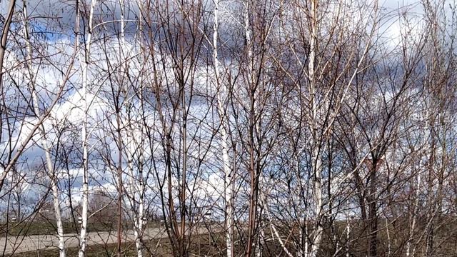 5 апреля -Никонов день.Народные приметы смотреть онлайн