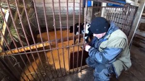 Один день из жизни в деревне. Омск Москаленки.
