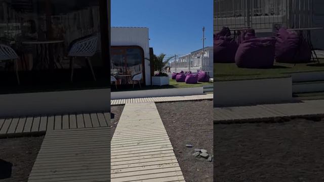 Разносит это лето смотреть онлайн