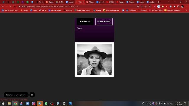 Сайты на Тильда. Видео 2 смотреть онлайн