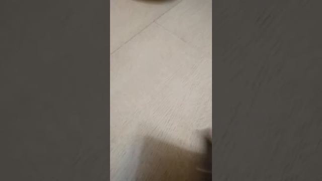 обзор диска Майнкрафт смотреть онлайн