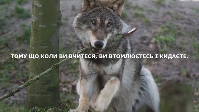 Що Головне в Житті Людини? Дуже Важливо Знати! смотреть онлайн