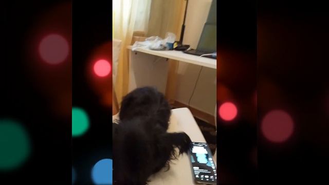 Песня реабилитолога !!!