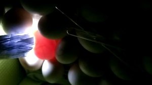 Инкубация яиц мускусных уток. Овоскопирование на 9-10 сутки