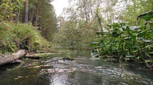 Славянская этническая музыка Разлилась речка быстрая