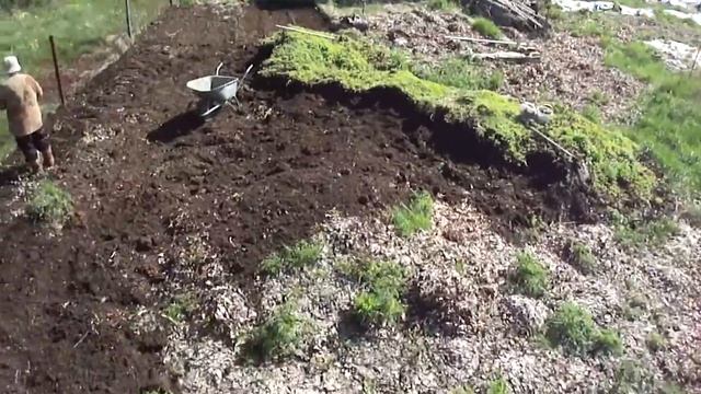 Dendrobena Картошка 20.05.12 смотреть онлайн