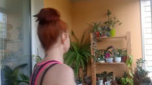Небольшой ОБЗОР и ПЕРЕСТАНОВКА ? ЦВЕТОВ на лоджии #комнатные_цветы