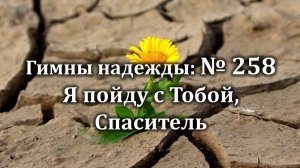 Гимны Надежды № 258 "Я пойду с Тобой, Спаситель" | Караоке с голосом | Христианские песни |Песни АСД