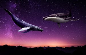 Nautilus Pompilius - Дыхание..автор ролика Светлый