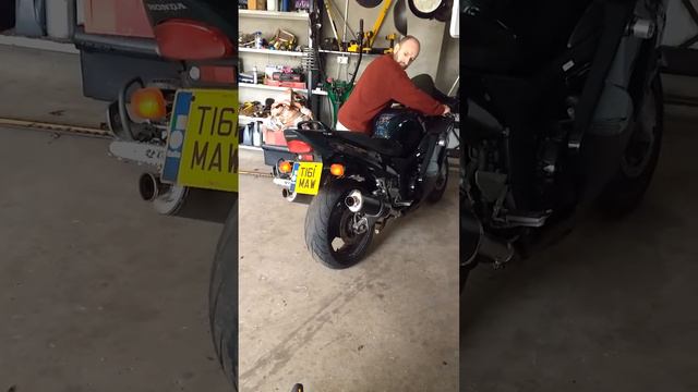 Honda cbr1100xx blackbird смотреть онлайн