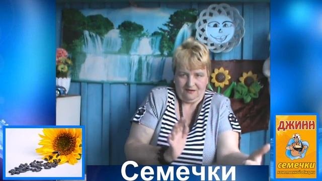 Семечки