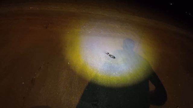 У ЛЕГЕНДЫ ПО НОЧАМ ОДНО НАПРАВЛЕНИЕ ))) ПАТТАЙЯ ! смотреть онлайн