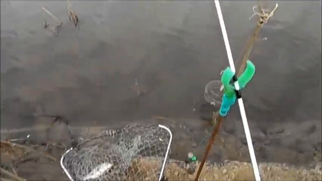 Рыбалка на Суре в Колдаис - Ловля на фидеры"флагман" и спиннинги "крокодилы"