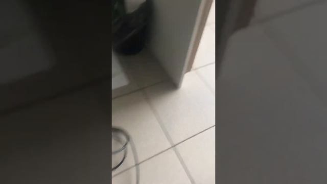 13 ноября 2021 г. смотреть онлайн