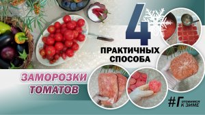 Заморозка помидоров на зиму: 4 практичных способа. Как заморозить томаты для компактного хранения?