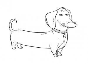 Drawing Buddy (The Secret Life of Pets) #1