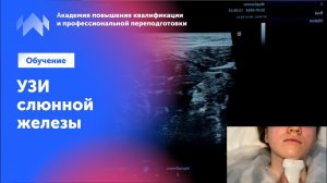 Узи для начинающих. Урок "УЗИ слюнной железы"