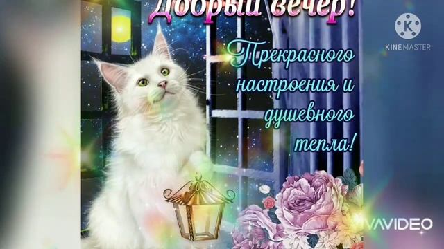 Добрый вечер ???!!! Прекрасного вам вечера ???!!!