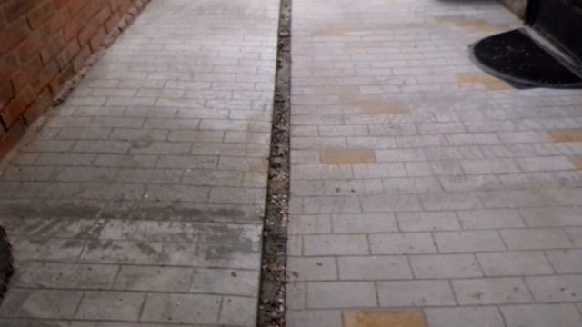 Бетонирование двора дешево и красиво. Что получилось.