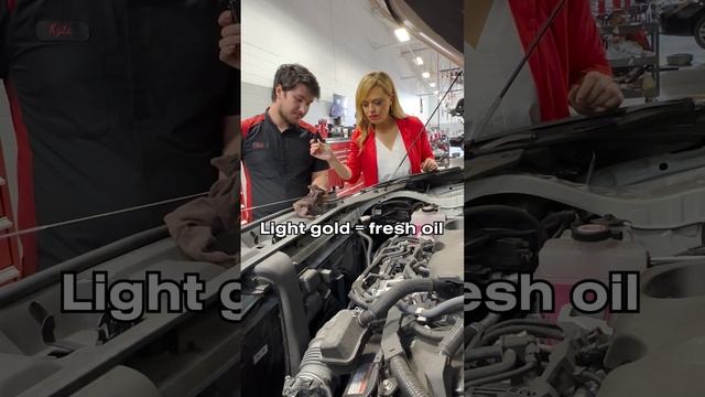 ?Dirty oil: the uninvited guest to our Toyota party!? смотреть онлайн