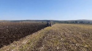 вспашка подсолнуха