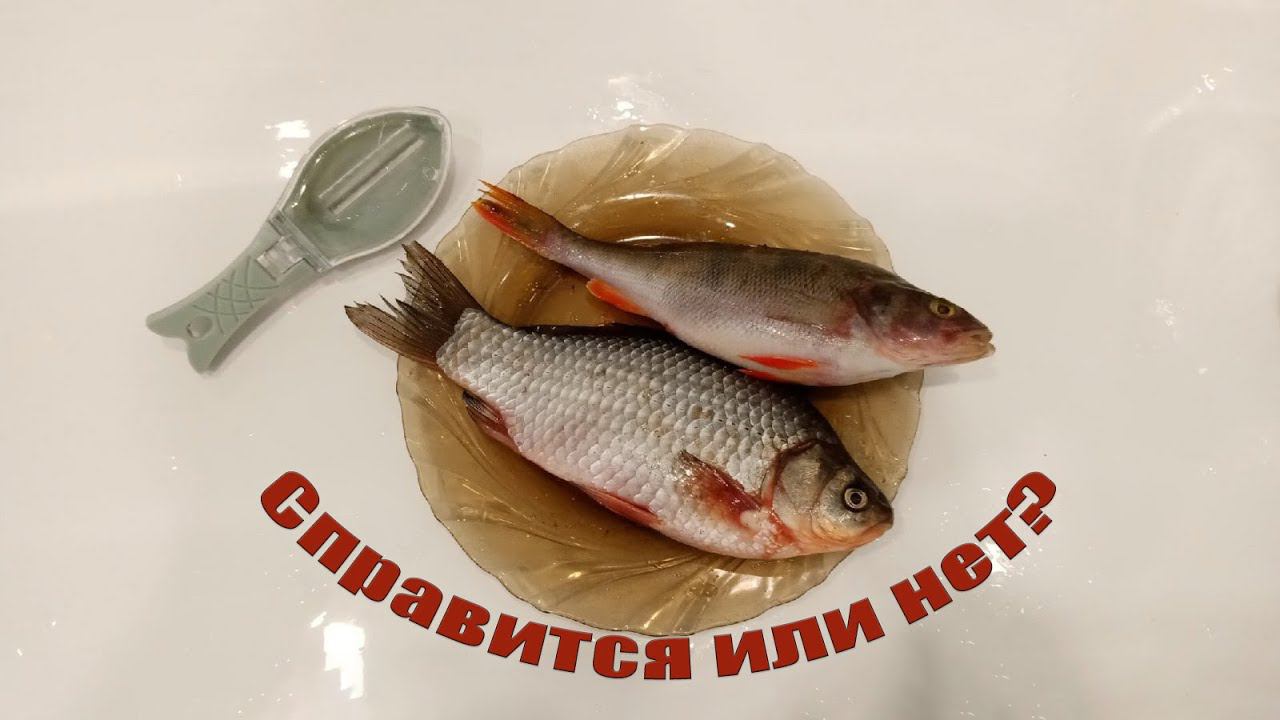 РЫБОЧИСТКА С ОТСЕКОМ ДЛЯ СБОРА ЧЕШУИ | ТЕСТ РЫБОЧИСТКИ,СПРАВИТСЯ,ИЛИ НЕТ ? смотреть онлайн