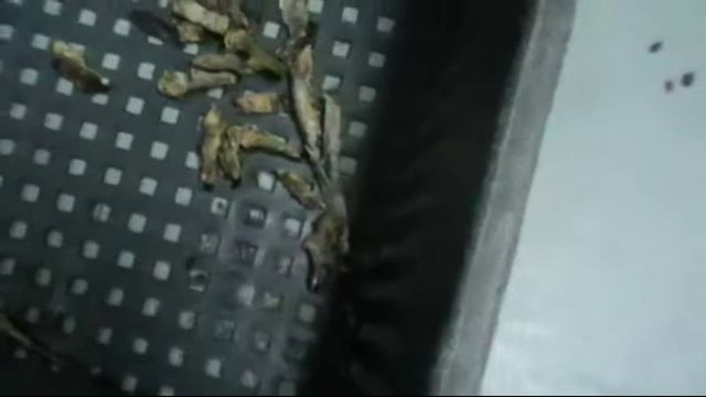 Слайсер для нарезки вяленой рыбы. Целой, филе или рыбных палочек