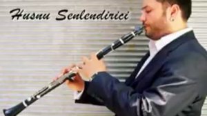 Husnu Senlendirici   Istanbul Istanbul Olali   Turkish instrumental music