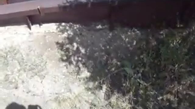 Находки такие что пол ролика удалил из за мата"эмоции" смотреть онлайн