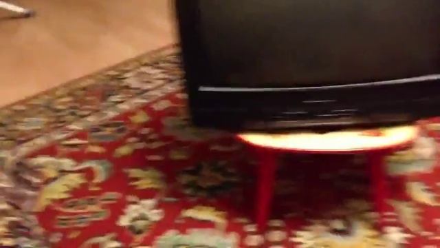 Как правильно включать телевизор смотреть онлайн