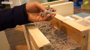 Из чего лучше строить дом?