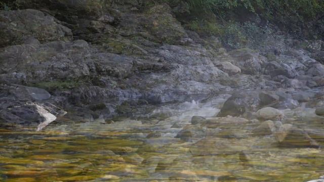 Fundy National Park in 4K - CBC New Brunswick смотреть онлайн