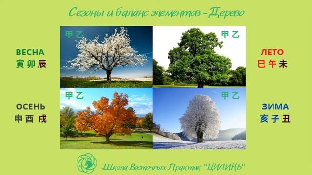 БАЦЗЫ ДЛЯ НАЧИНАЮЩИХ. ШАГ 6. РОЛЬ СЕЗОНА В КАРТЕ БАЦЗЫ.