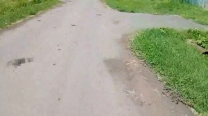 Мопед Из Бензопилы Дружба.Мощь!!!