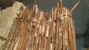 Стена из камыша 2