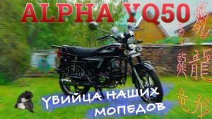 МОПЕД АЛЬФА!!! ВСЯ ПРАВДА!!! Alpha YQ50 / ЯГУАР по Китайски / Иван Зенкевич